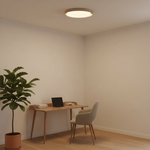 Load image into Gallery viewer, Dari Round Ceiling Light