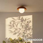 Afbeelding laden in galerijweergave, Crème Stijl Hars Alien Plafondlamp