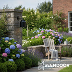 Load image into Gallery viewer, Hanton Cylindrical Drum Modern Outdoor Sconce for Porch & Entryway