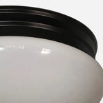 Cargar imagen en el visor de la Galería, Close detail of opal glass shade and black canopy rim