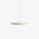Load image into Gallery viewer, Evanos Disc Design Pendant Light – Sculptural Iron Disc Style for Modern Dining Room