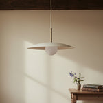 Load image into Gallery viewer, Curva Metal Globe Pendant Light - Modern Minimalist Light for Kitchen