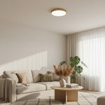 Afbeelding laden in galerijweergave, Rondi Minimalistische Ronde LED Plafondlamp - Circulair IJzeren Ontwerp voor Woon- en Slaapkamer