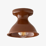 Afbeelding laden in galerijweergave, Dravin Keramische Plafondlamp - Levendig Kleurenpalet Moderne Binnenlamp voor Woonkamer en Gang