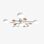 Afbeelding laden in galerijweergave, Celos Diffuse LED Bol Plafondarmatuur – Stijlvolle Binnenverlichting voor Eilanden en Hoekjes