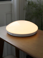 Load image into Gallery viewer, Wickes Flush Ceiling Light