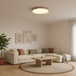 Load image into Gallery viewer, Dari Round Ceiling Light