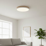 Afbeelding laden in galerijweergave, Cielora Ronde Opbouw Plafondlamp Minimalistisch Profiel - Moderne Interieurdecoratie