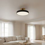 Afbeelding laden in galerijweergave, Ceilivon Plafondlamp Brede Diffuser Opbouw Plafondlamp - Moderne Stijl voor Woonkamer