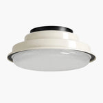 Cargar imagen en el visor de la Galería, ceiling light finish