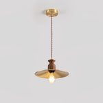 Load image into Gallery viewer, Brass Crest Pendant Light