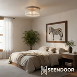 Load image into Gallery viewer, Bravira Transitional Glass Panel Ceiling Light for Hallway & Bedroom