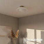 Load image into Gallery viewer, Elorina Dome Shade Contemporary Ceiling Light for Kitchen & Bathroom