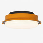 Cargar imagen en el visor de la Galería, ceiling light finish