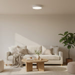 Afbeelding laden in galerijweergave, Rondi Minimalistische Ronde LED Plafondlamp - Circulair IJzeren Ontwerp voor Woon- en Slaapkamer