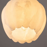 Bild in die Galerieansicht laden, Lilin Alabaster-Pendelleuchte