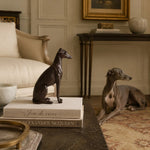 Bild in die Galerieansicht laden, scene lounge console greyhound decor
