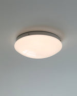Load image into Gallery viewer, Wickes Flush Ceiling Light