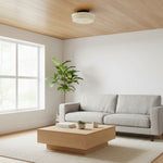 Afbeelding laden in galerijweergave, Dretta Vintage Klassieke Ronde Plafondlamp - Gesculpteerde Kunstglas Verlichtingsarmatuur voor Woonkamer U02