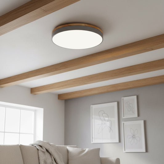 Cielora Ronde Opbouw Plafondlamp Minimalistisch Profiel - Moderne Interieurdecoratie