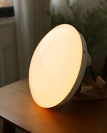 Load image into Gallery viewer, Wickes Flush Ceiling Light