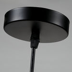 Afbeelding laden in galerijweergave, Beastlynn Dierlijke Glazen Hanglamp - Creatief Zoo Ontwerp Hanglamp voor Kinderkamer N23