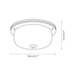 Cargar imagen en el visor de la Galería, Lámpara de Techo de Vidrio Justice