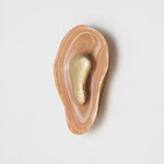 Bild in die Galerieansicht laden, Oyster Hammerschlag Onyx Wandleuchte