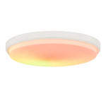 Cargar imagen en el visor de la Galería, B style white ceiling lamp SKU view for 30 cm and 40 cm sizes