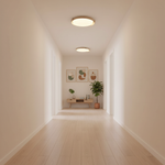 Load image into Gallery viewer, Dari Round Ceiling Light