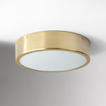 Load image into Gallery viewer, Crelina Minimalist Flush Mount Lighting - Modern Ceiling Fixture for Any Room
