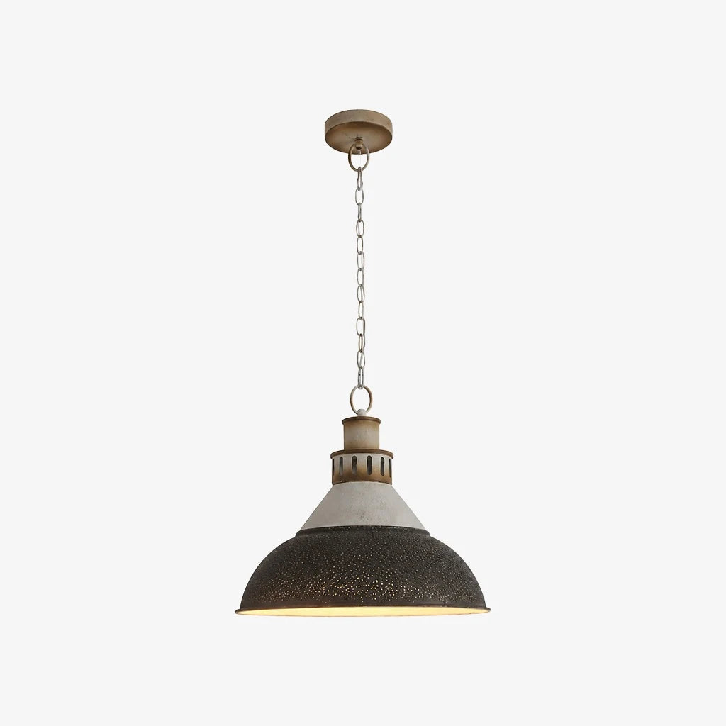 industrial dome pendant light color variant