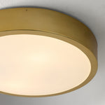 Load image into Gallery viewer, Crelina Minimalist Flush Mount Lighting - Modern Ceiling Fixture for Any Room
