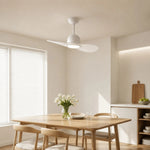 Bild in die Galerieansicht laden, Designer Hat Two-Blade Ceiling Fan Light scene image