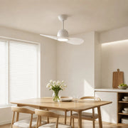 Designer Hat Two-Blade Ceiling Fan Light scene image