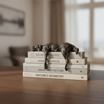 Load image into Gallery viewer, Floxo Lazy Dog and Abstract Nordic Human Figurine Minimalist Sculpture for Modern Shelves and Desks