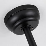 Charger l'image dans la visionneuse de la galerie, Black ceiling canopy detail