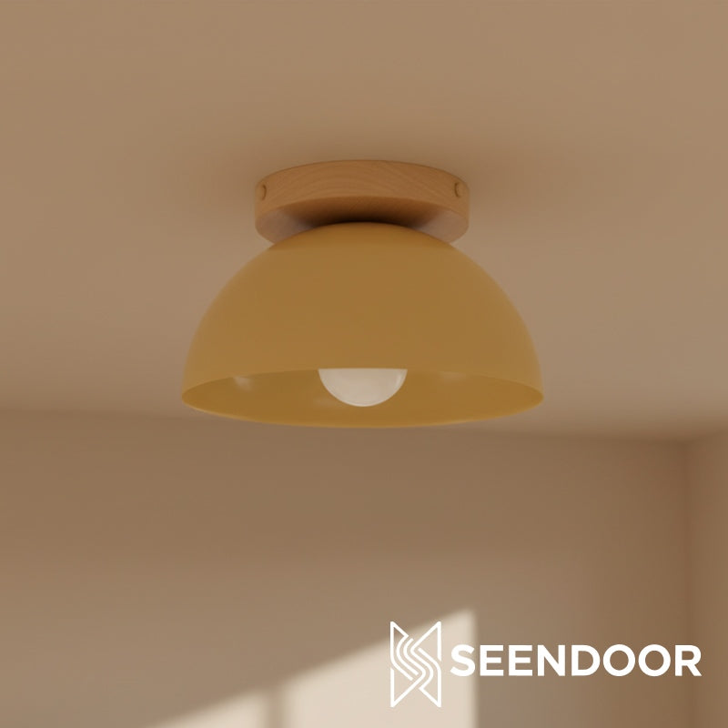 Metio Multi-Color Dome Flush Mount Ceiling Light Contemporary for Dining Area & Entry