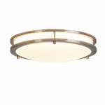 Cargar imagen en el visor de la Galería, Brushed nickel 40 cm Bauhaus eye-care LED ceiling light, three-color light