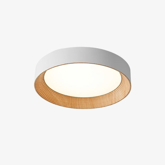 Lámpara de Techo Minimalista Cedronis - Solución Moderna de Iluminación Interior