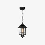Cargar imagen en el visor de la Galería, Patnox Outdoor Glass Pendant Lamp - Black finish
