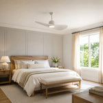 Bild in die Galerieansicht laden, Designer Hat Two-Blade Ceiling Fan Light scene image