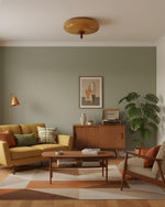 Load image into Gallery viewer, Honeydrift Ceiling Lamp
