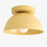Load image into Gallery viewer, Metio Multi-Color Dome Flush Mount Ceiling Light Contemporary for Dining Area &amp; Entry
