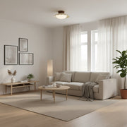 Pluvoria Lampada da Soffitto Moderna Minimalista a Nuvole Smerlate - Lampada da Soffitto Elegante con Linee Pulite