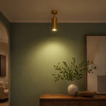 Charger l'image dans la visionneuse de la galerie, Brass ceiling spotlight installed above a console wall