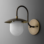 Load image into Gallery viewer, Curva Frosted Glass Globe Wall Sconce for Hallway &amp; Entryway
