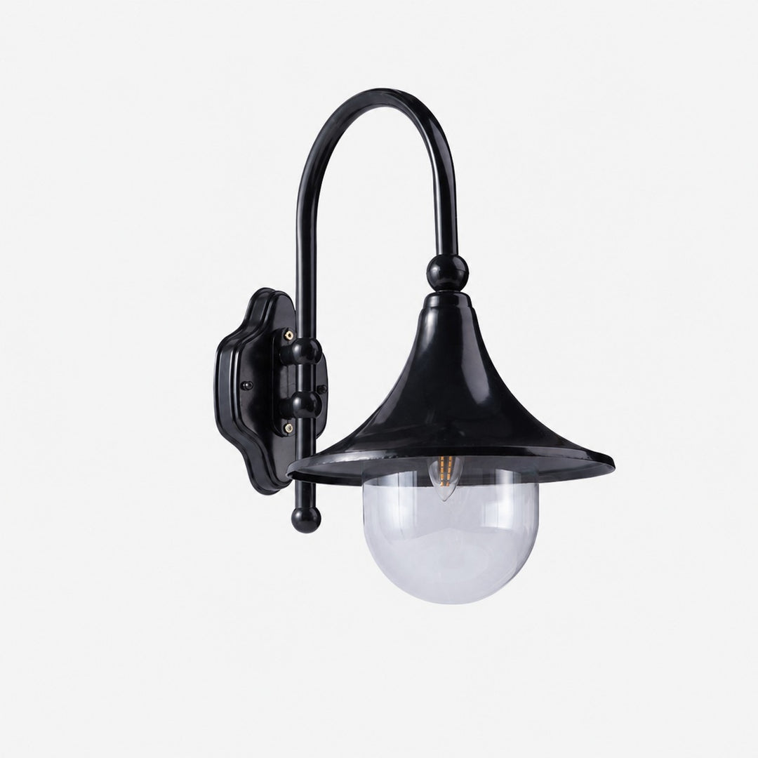 Black Trumpet 18.9″ / 48 cm