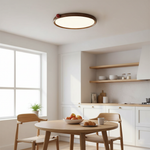 Load image into Gallery viewer, Geos LED Ceiling Light