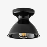 Afbeelding laden in galerijweergave, Dravin Keramische Plafondlamp - Levendig Kleurenpalet Moderne Binnenlamp voor Woonkamer en Gang